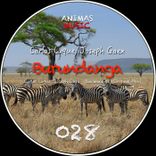 Artwork for "Burundanga"