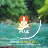 Artwork for "Walking on Water (Healing Piano Session)"