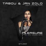 Artwork for "Pleasure"