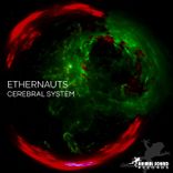 Artwork for "Cerebral System"