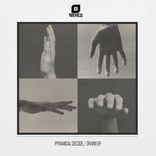 Artwork for "Grains EP"