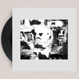 Consciousness Systems