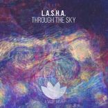 Artwork for "Through the Sky"