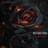 Portada para "Black Rose"
