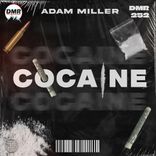 Artwork voor "Cocaine"