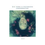 Artwork voor "Underwater"