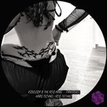 Artwork voor "Fantasies"