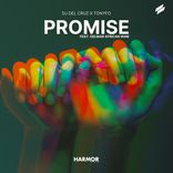Artwork for "Promise"