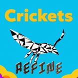 Artwork voor "Crickets"