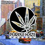 Artwork für "Acid Brainwash"