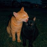 Artwork for "Safe Place"