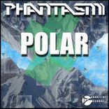Artwork for "Polar"