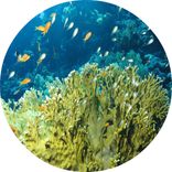 Artwork for "A Billion Worlds EP"