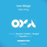 Portada para "Delta Wing"