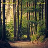 Artwork voor "Quiet Road (Radio Edit)"