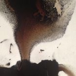 Don't Worry All Will Be Fine