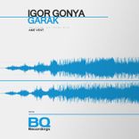 Artwork voor "Garak"