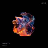 Duplicate