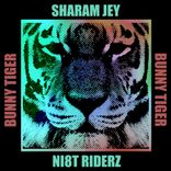 Artwork for "Ni8t Riderz"