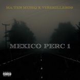 Artwork voor "MEXICO PERC 1"