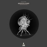 Artwork for "Grassland"