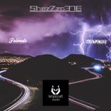 Artwork for "Friends and Haters (Original mix)"