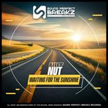 Artwork voor "Waiting for the Sunshine"