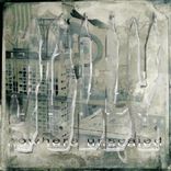 Dissolving of an Hermetic Airport Complex