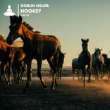 Artwork voor "Hookey"