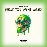Artwork for "What You Want Again"