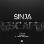 Artwork for "Escape"