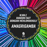 Artwork for "AmaGrigamba"