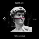 Artwork for "Homogeneous"