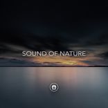 Artwork for "Sound Of Nature"