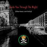 Artwork voor "Guide You Through The Night"