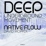 Artwork for "Native Flow"