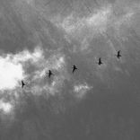 Artwork for "Contact"