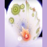 Artwork voor "In Dream"