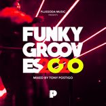 Funky Grooves 2020 (Mixed by Tony Postigo)