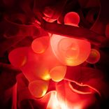 Artwork voor "A Warning"