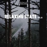Artwork für "Relaxing State, Vol. 13"