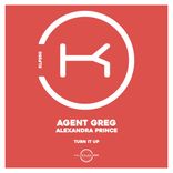 Portada para "Turn It Up"