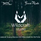 Artwork voor "Forest Roads"