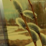 Whirlpool of Emotions