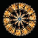 Artwork for "Crystal Cave"