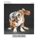 Artwork for "She Shakes"