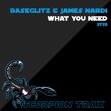 Portada para "What You Need"