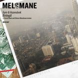 Artwork für "Rrringit"