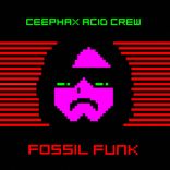 Artwork for "Fossil Funk EP"