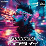 Artwork for "Funkiness"